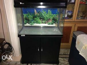 Aquarium for sale