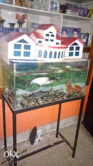 Aquarium in good condition with fish and stand