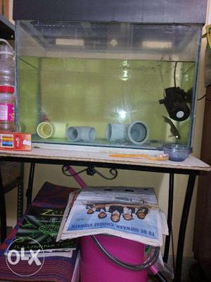 Aquarium with metal stand n top for less price.