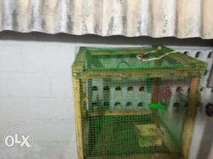 Birds cage for low price cheaper than other cage