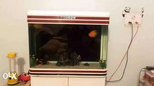 Black And Red Framed Fish Tank