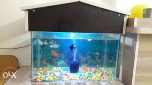 Fish tank  with top good condition no fish