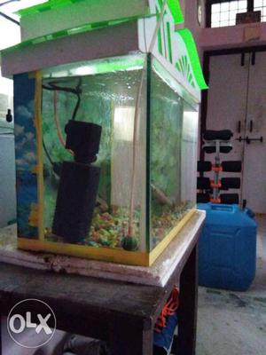Good condition aquarium, stones,oxygen,water