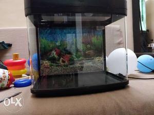 Resun DM 400 imported curved aquarium for sale