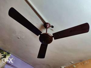 Havells Fan..2 set..1 year old..Very Good