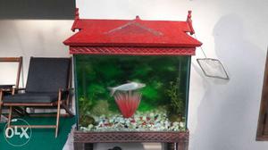 8mm fish tank and full aquarium with stand