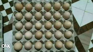 Deshi Eggs
