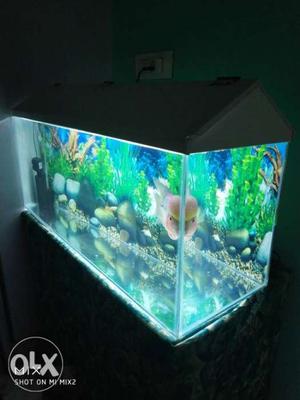 Fish tank 36" X 15" X 12 with cover new tank only
