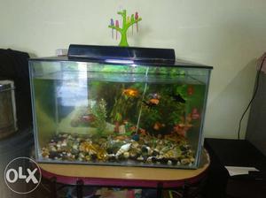 Fish tank and dhakan only 2×1 fit