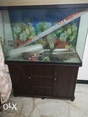 Fish tank for sale with table tank size