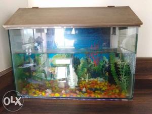 I have to sell only fish tank,