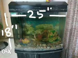 Market price of this size new aquarium is 