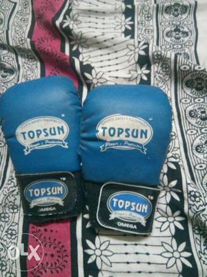 Pair Of Blue-and-white Everlast Boxing Gloves