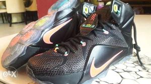 Lebron 12 Black Colour price Bought For:  not