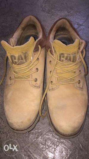Original cater pilar shoes10 no size new