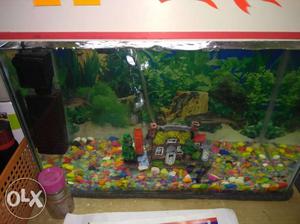 10 gallon fish tank and top cap with stones and 2