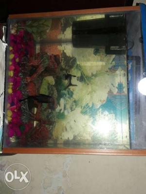 2 month old aquarium with pump n 2 no fish and