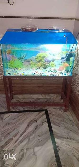 Acriyam 3fit with fish red perad good condition