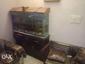 Aquarium 4 feet with table and with fishes