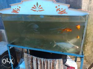 Big Aquarium in good condition with Stand,