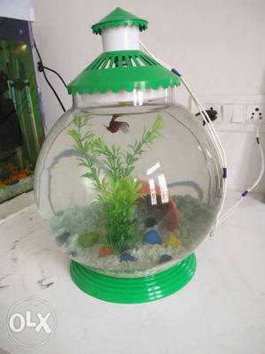 Big size fish bowl with one betta fish gravel,