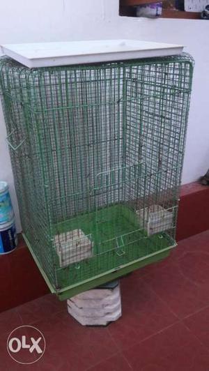 Bird Cage 6month old