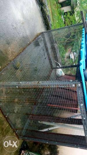 Cage for sale... size:- 6ft*4ft*4ft