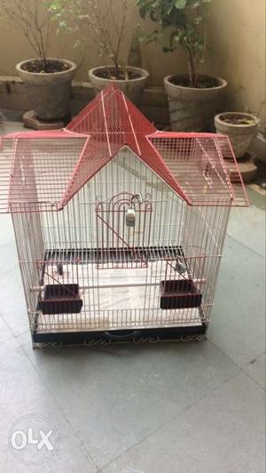 Cage of top condition and latest pattern