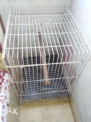 Cage. two bird capacity. 1 year old. White color