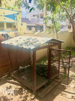 Dog cage 4.5x4.5 ft sz.with stone urgent sale