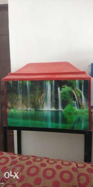 Fish tank and 4 fish and all accessories