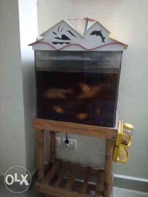 Fish tank and all accessories,final price rs.500