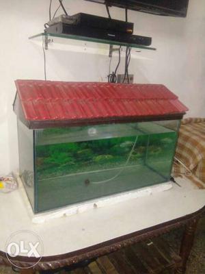 Fish tank in good condition