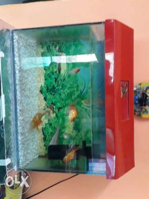 Green And Red Fish Tank