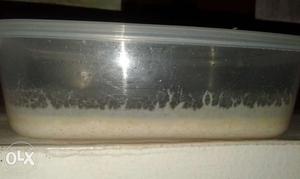 Grindal worms- 200 rs, microworms- 100 rs, price