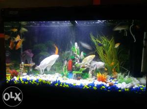 Imported Fish Tank with full set for sale 3 feet Length 2