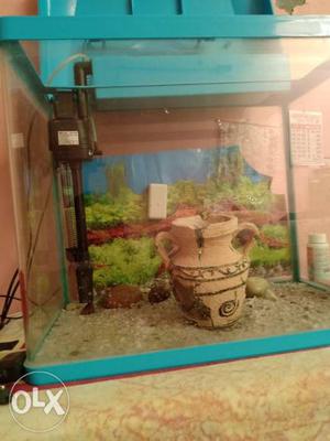 Its imported aquarium just used for 3 months