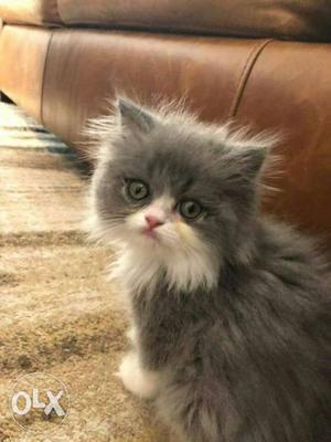 Looking at very beautiful