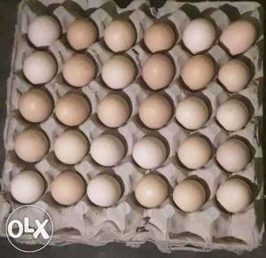 Nattu kozi eggs for sale retail and wholesale