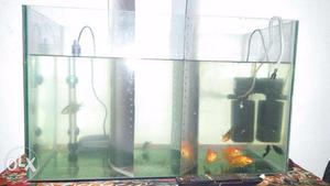 Only aqurium with 2 gold fish and 2 koi fish 1