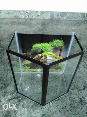 Pentagon Fish Tanks (5 side) available. (FIXED PRICE)