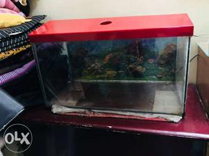 Red And Black Pet Tank