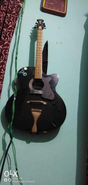 I want to sell my guitar of company grason.