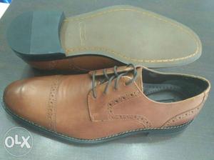 Branded leather shoes. Brand new.
