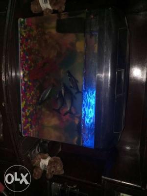 2 feet aquarium..with 10 fish and air filter in a
