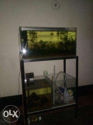 2 feet planted tank with stand lights filter