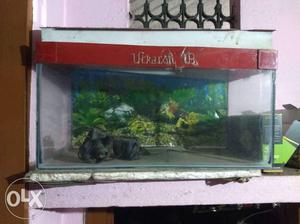 2/1 Fish aquarium with oxygen pump, stone, and