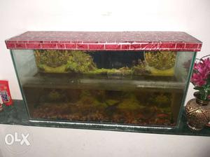 3 x 1.5 Feet Fish Tank * Including 6 fish worth