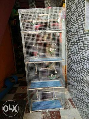4 step birds cage in hevy mess with tray hole sale rate