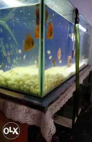 4ft*1.5ft*1.5ft. Good condition fish tank